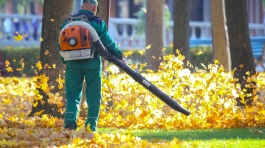 Working in the Park removes leaves with a blower