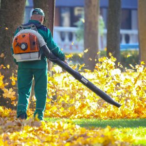 Working in the Park removes leaves with a blower