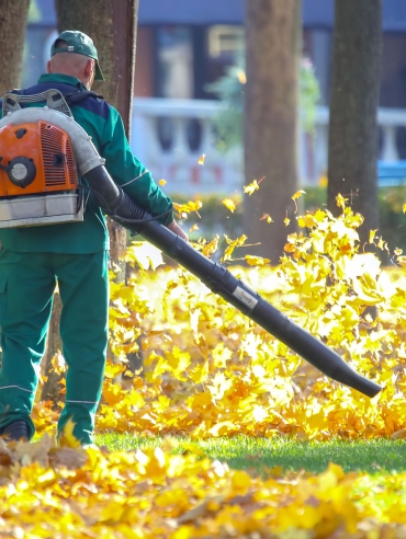 Working in the Park removes leaves with a blower
