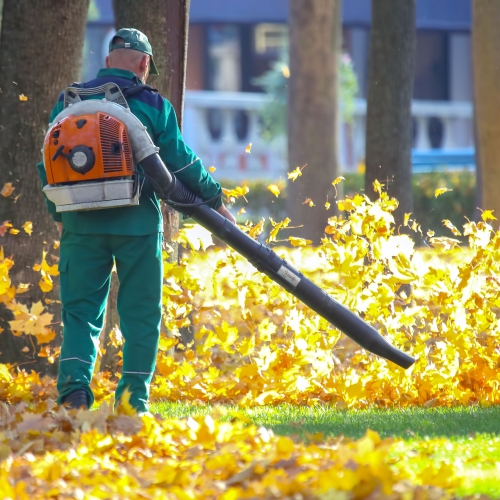 Working in the Park removes leaves with a blower